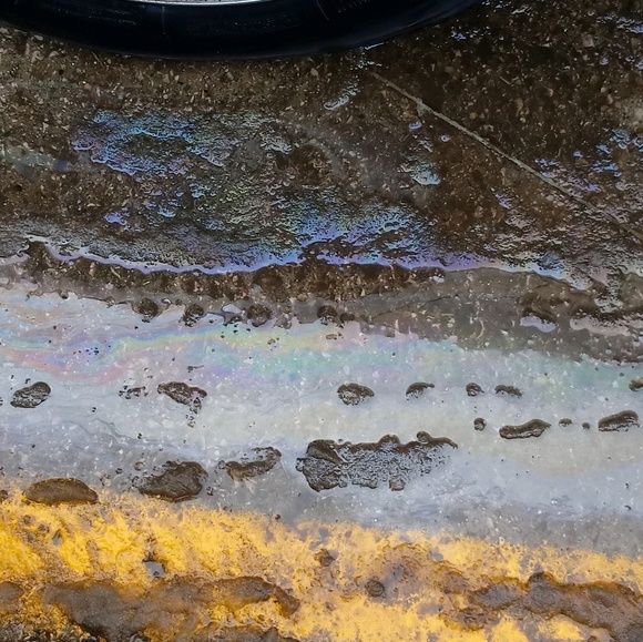 Meet your Posher, Tam - Picture 1 of 1